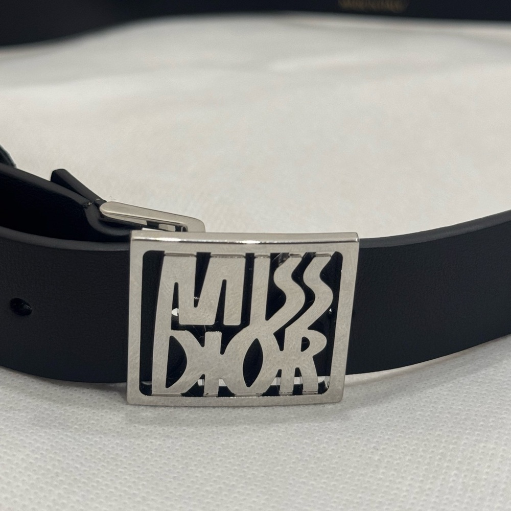 Dior Black Belt Bag with Silver Logo - Picture 7 of 13